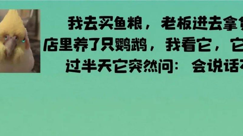 成都火锅底料批发市场：揭秘进货背后的秘密